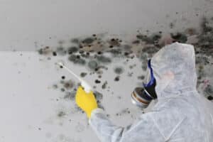 Find Mold Spots in Your Home